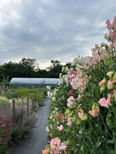 Flitterbrook Flower Farm